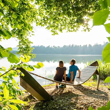 Joy Апартаменты *