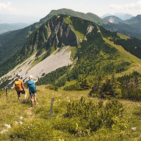 Апартаменты Joy