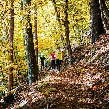 Joy Апартаменты *