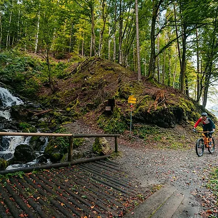 Joy * Анненхайм