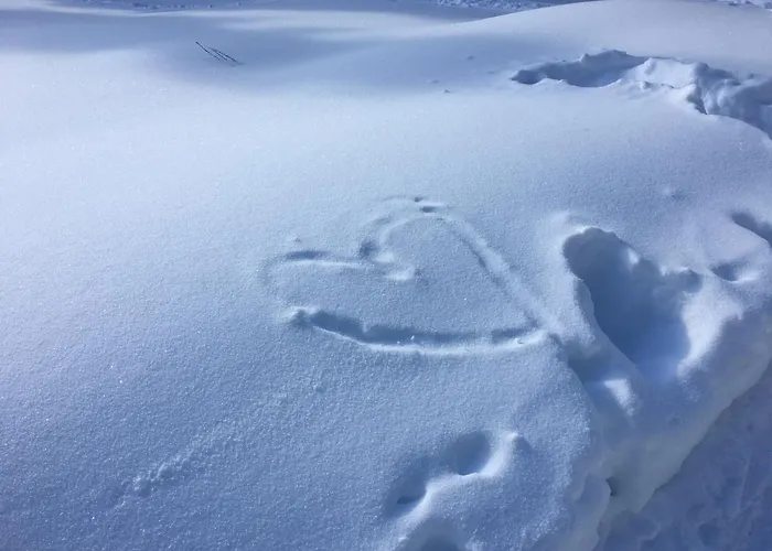 アパート Joy アンネンハイム