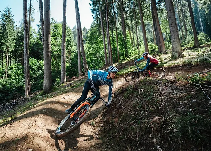 Joy アパート アンネンハイム